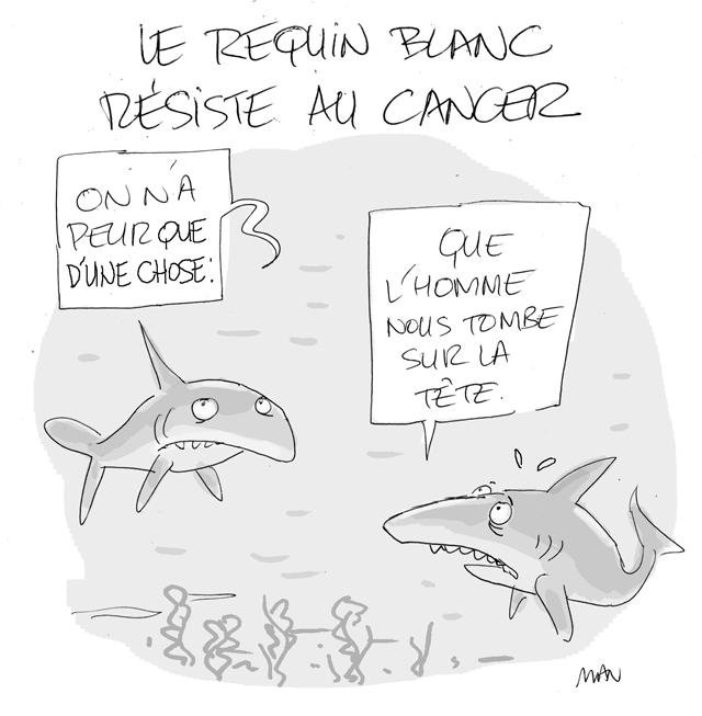 presse : Requins