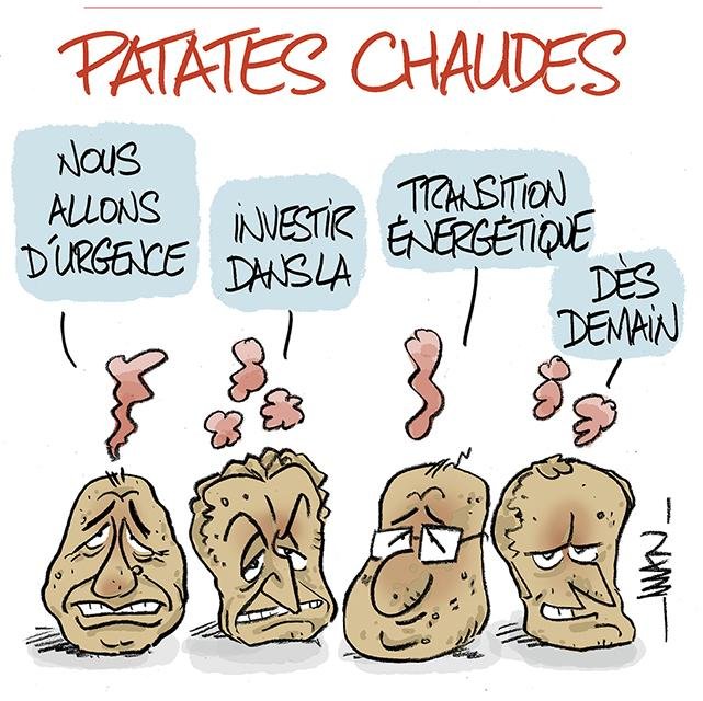 Dessin de presse : Patates presse : Patates