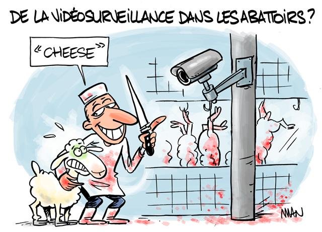 presse : Cheese